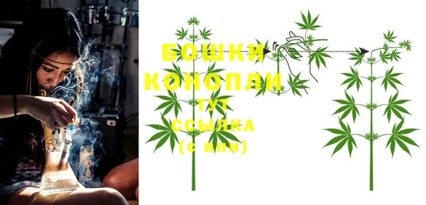 ECSTASY Корсаков