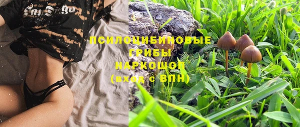 MDMA Алексеевка