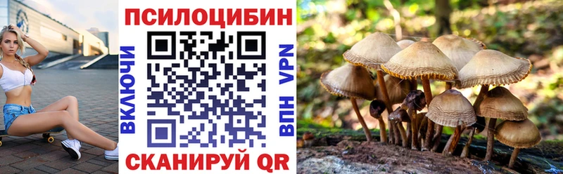 цены   Симферополь  kraken ССЫЛКА  Псилоцибиновые грибы Psilocybine cubensis 